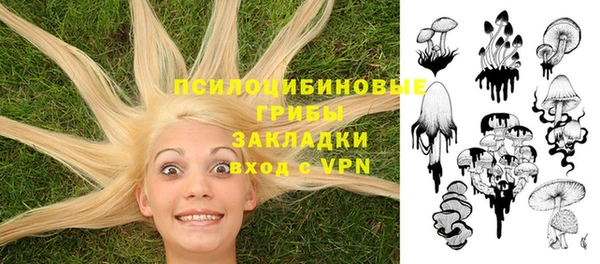 скорость Арсеньев